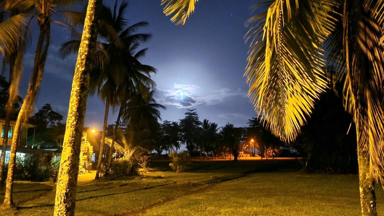Wildlife Art Tortuguero Hotel Exterior photo