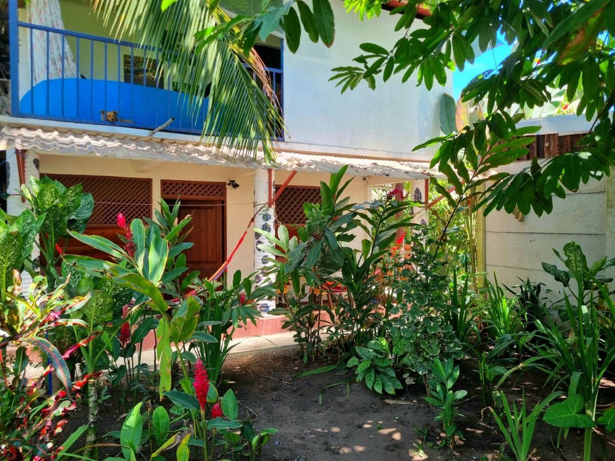 Wildlife Art Tortuguero Hotel Exterior photo