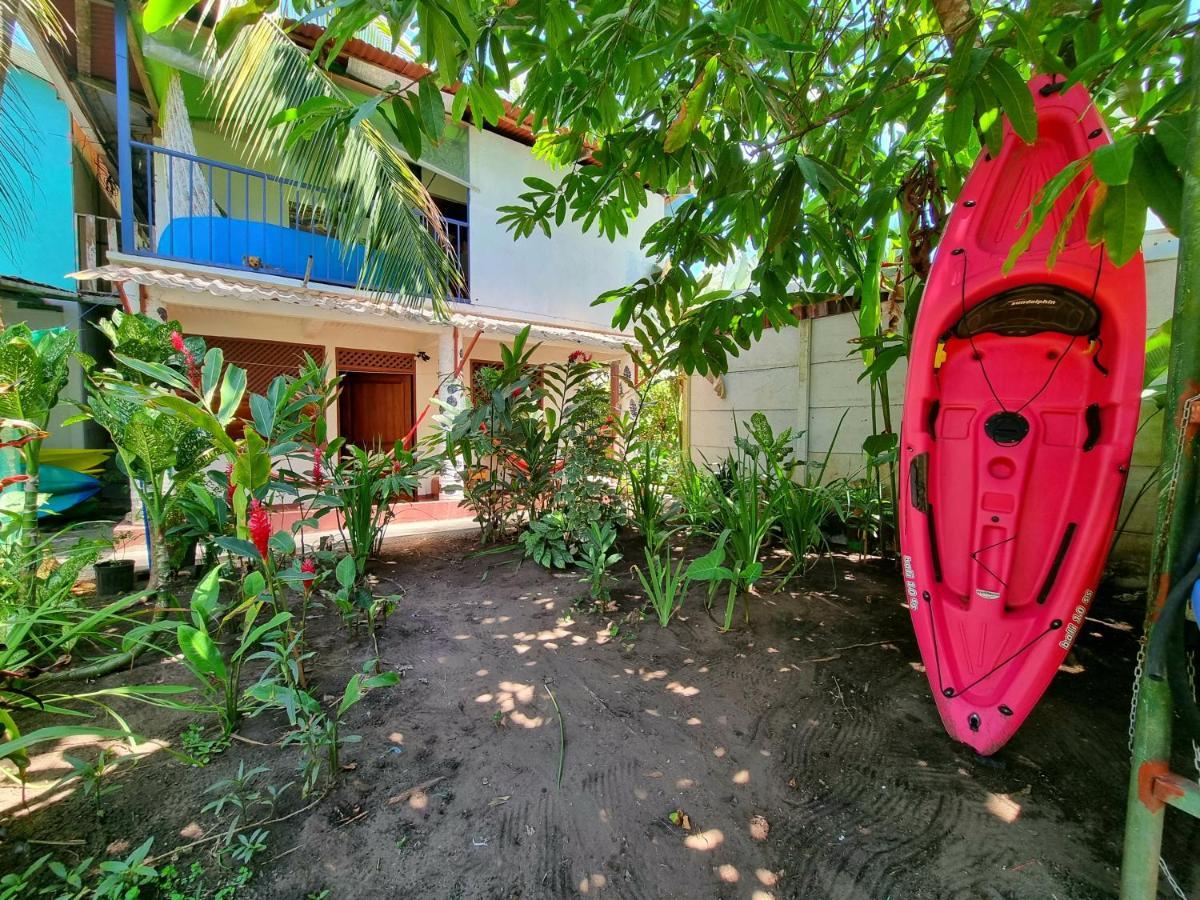 Wildlife Art Tortuguero Hotel Exterior photo