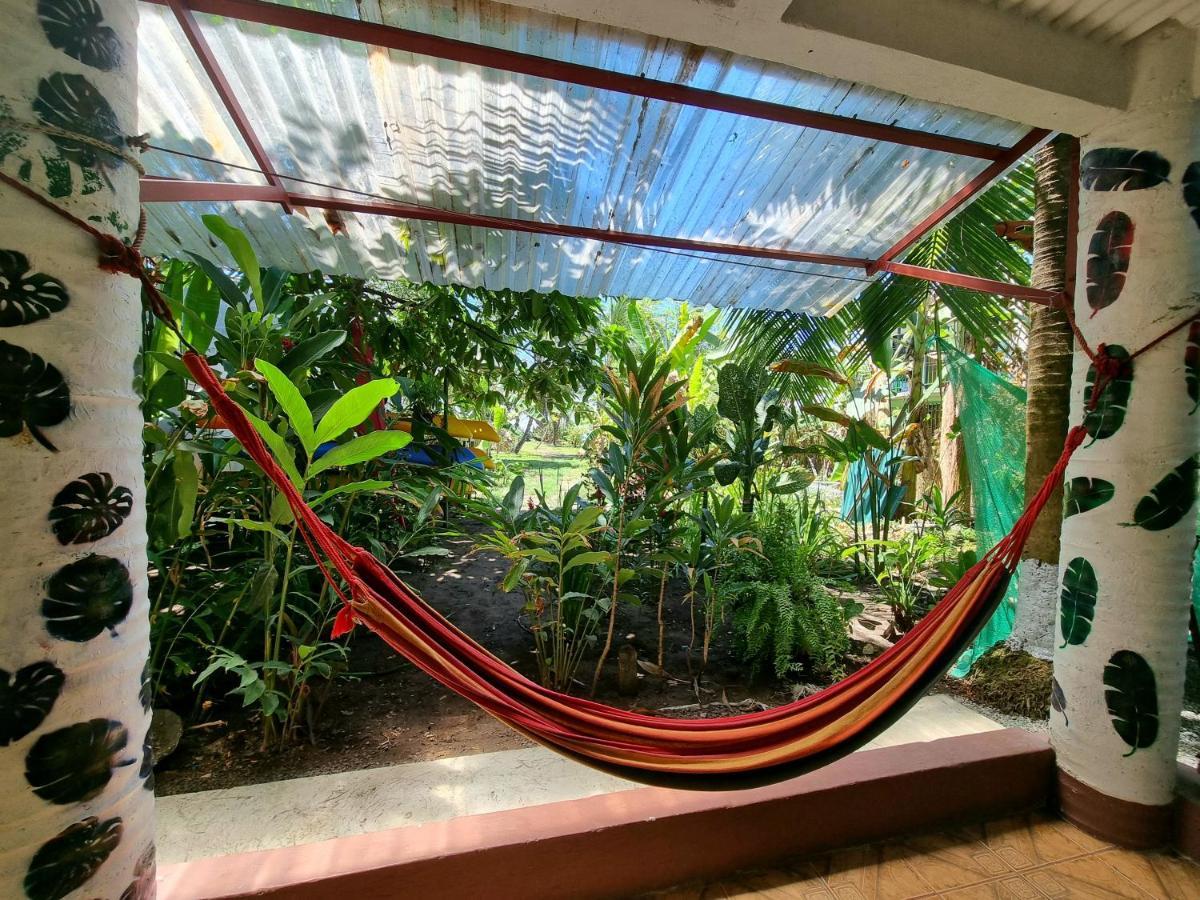 Wildlife Art Tortuguero Hotel Exterior photo