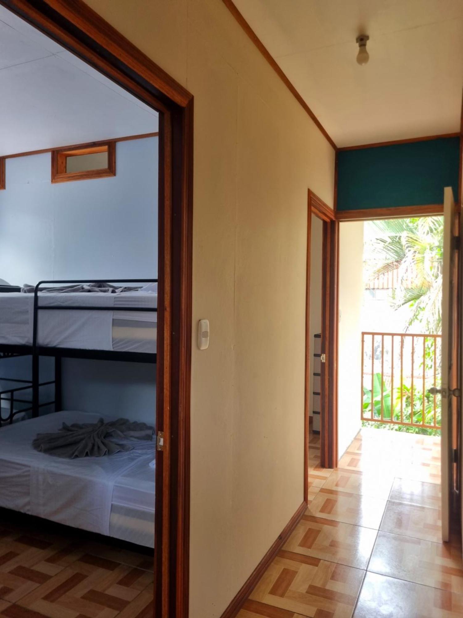 Wildlife Art Tortuguero Hotel Exterior photo