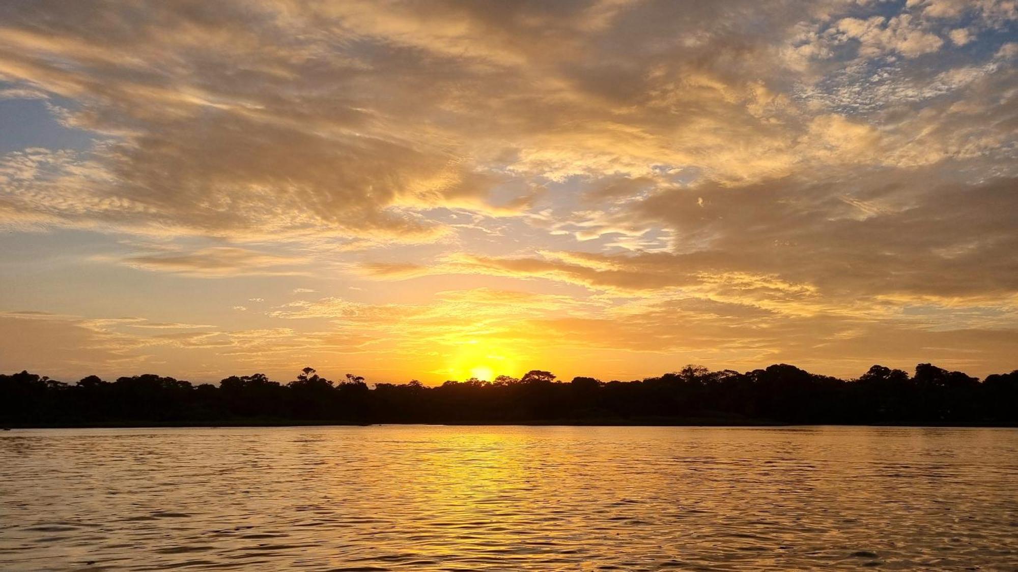 Wildlife Art Tortuguero Hotel Exterior photo