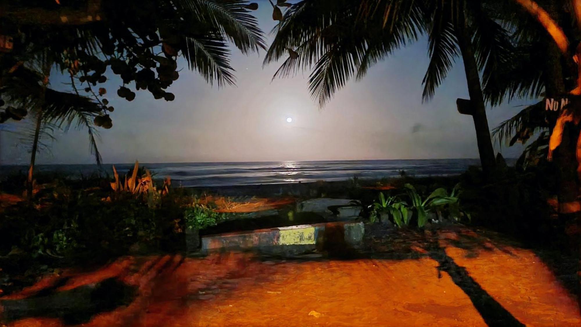 Wildlife Art Tortuguero Hotel Exterior photo