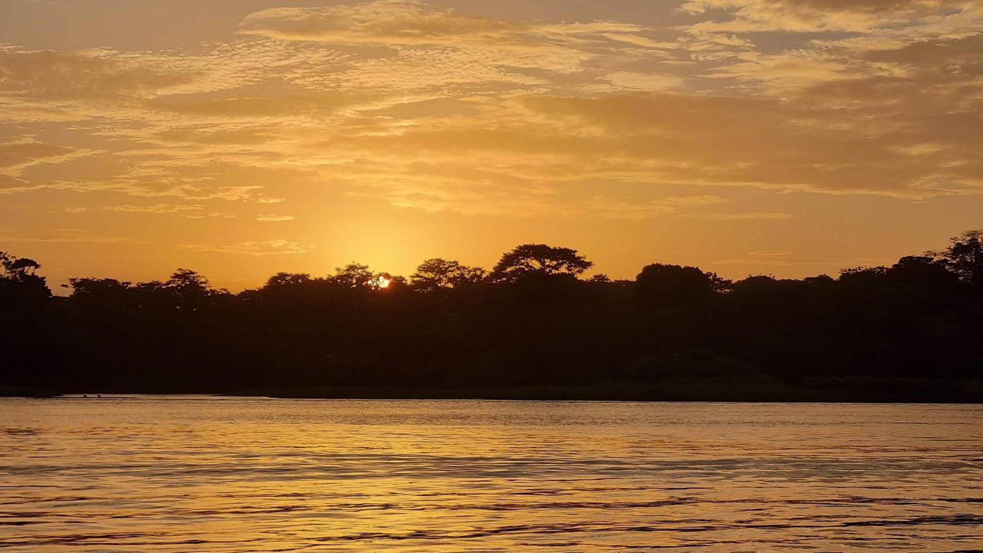 Wildlife Art Tortuguero Hotel Exterior photo