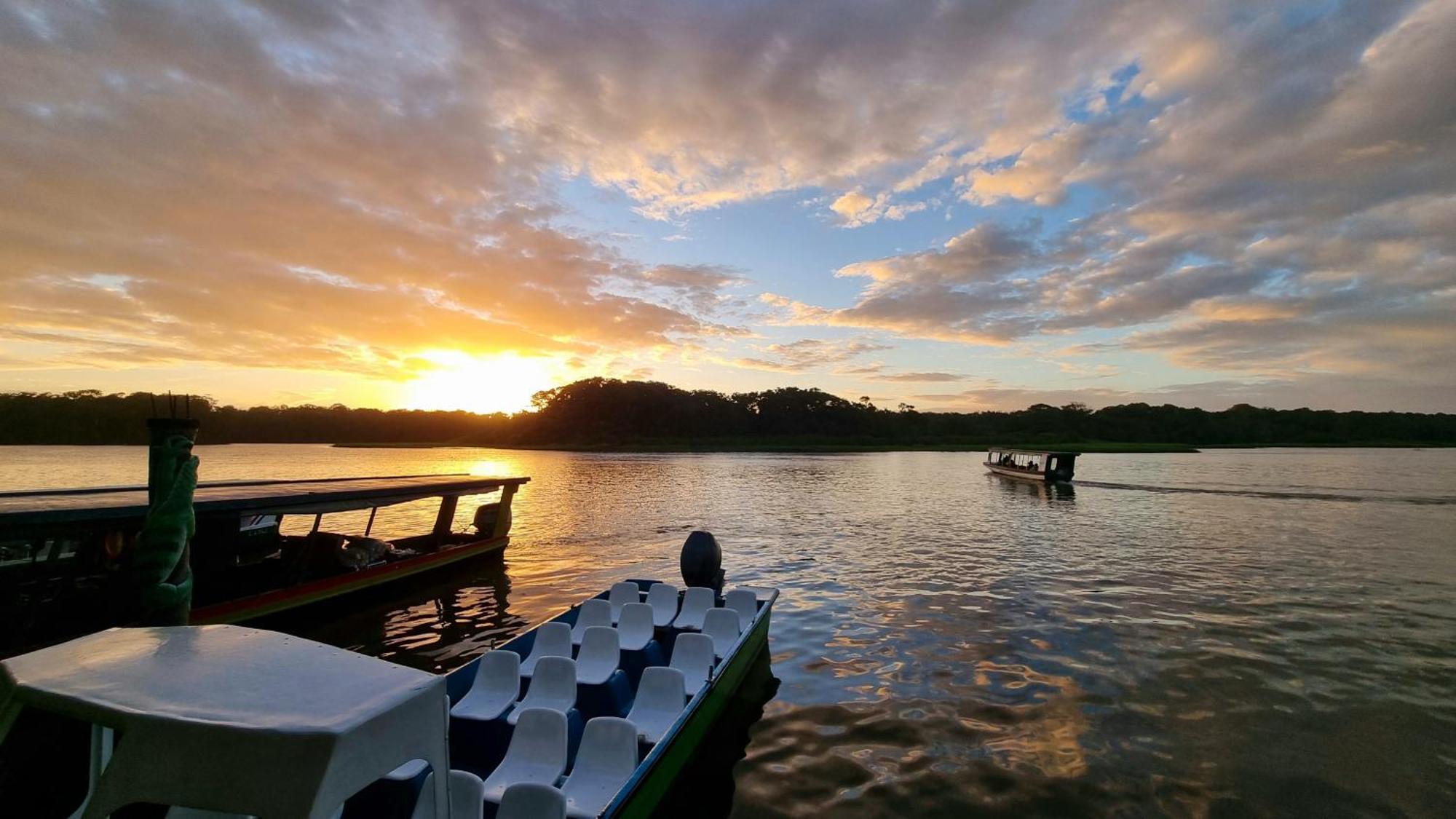 Wildlife Art Tortuguero Hotel Exterior photo