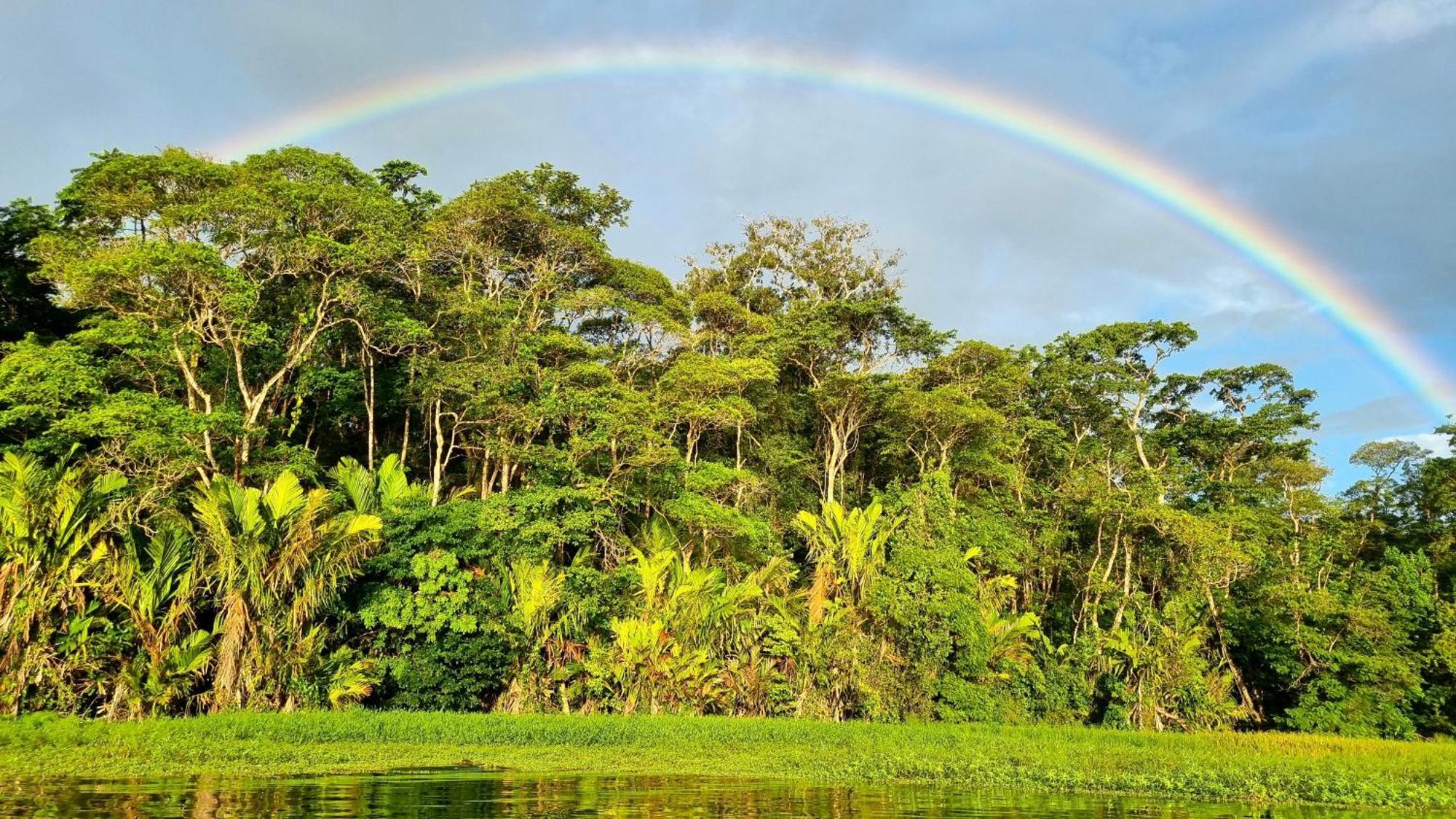 Wildlife Art Tortuguero Hotel Exterior photo